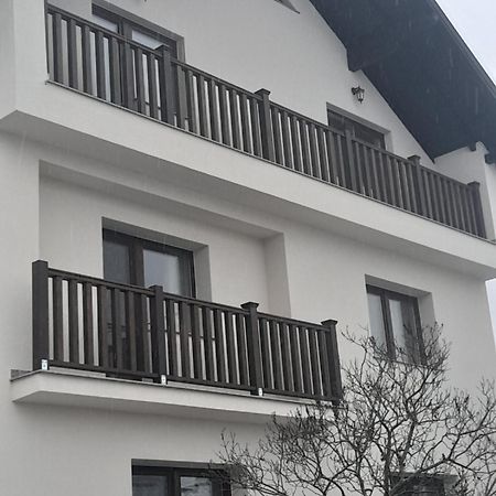 Casa Carmen Hotel Poienile Izei Luaran gambar