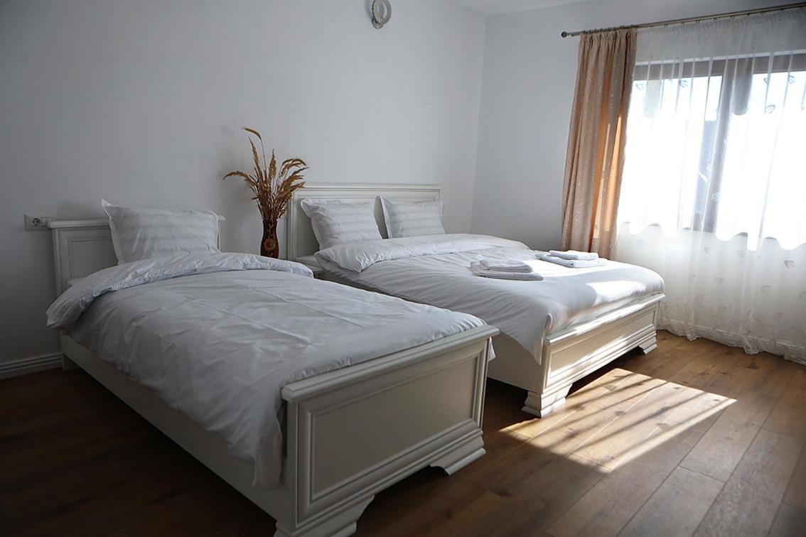 Casa Carmen Hotel Poienile Izei Luaran gambar